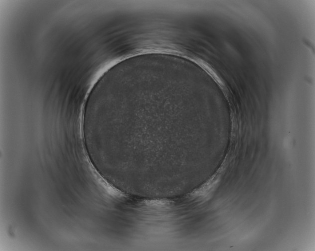 X0000096671246200802191322