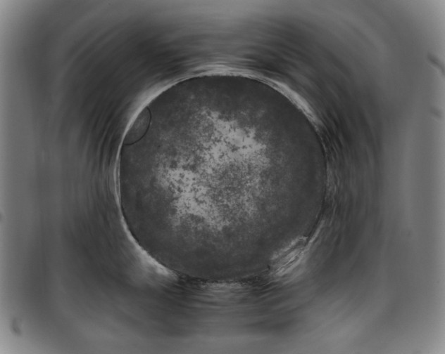 X0000096671247200802191322