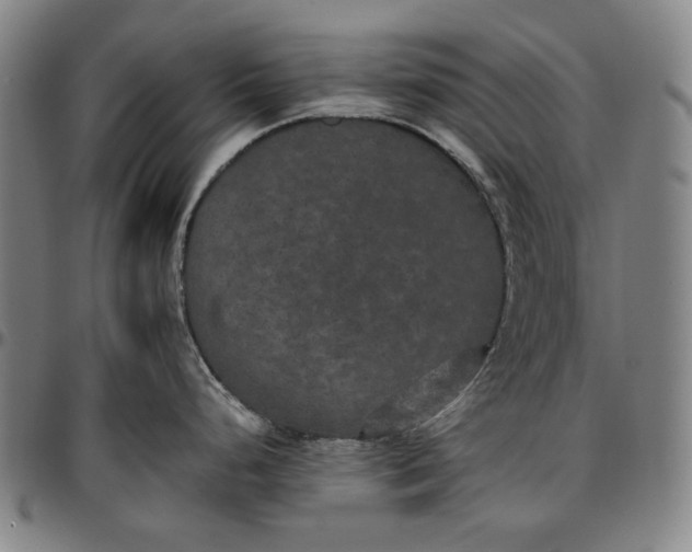 X0000096671248200802191323