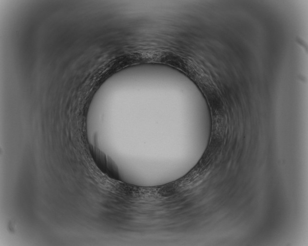 X0000096671249200802191322