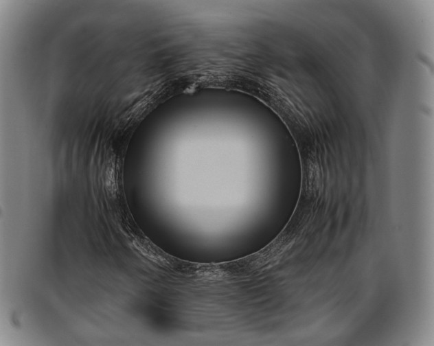 X0000096671250200802191322