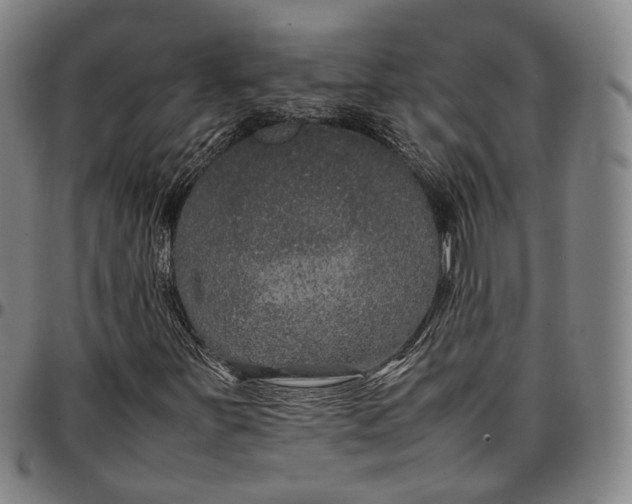 X0000096671251200802191322