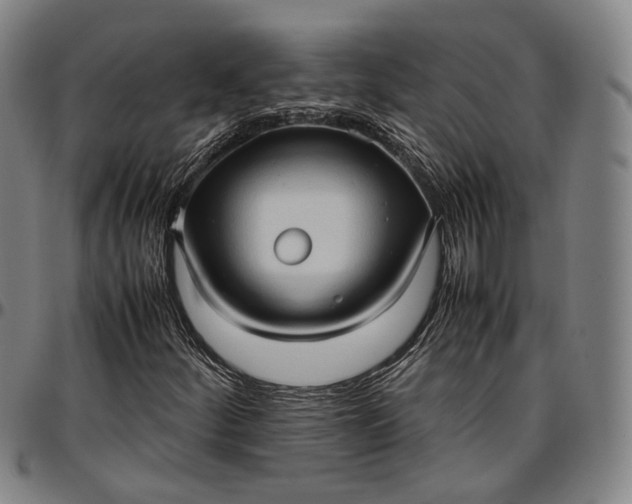 X0000096671252200802191322