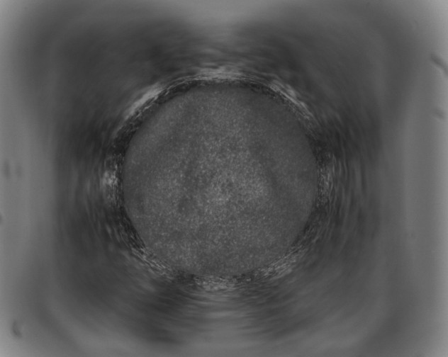 X0000096671254200802191322