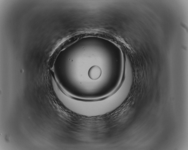 X0000096671256200802191322