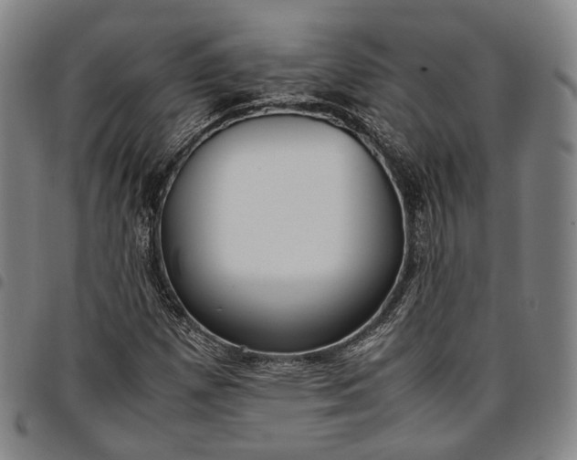 X0000096671257200802191322