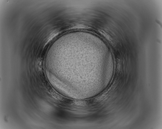 X0000096671258200802191322