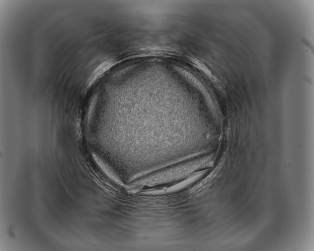 X0000096671259200802191322