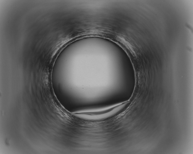 X0000096671260200802191322