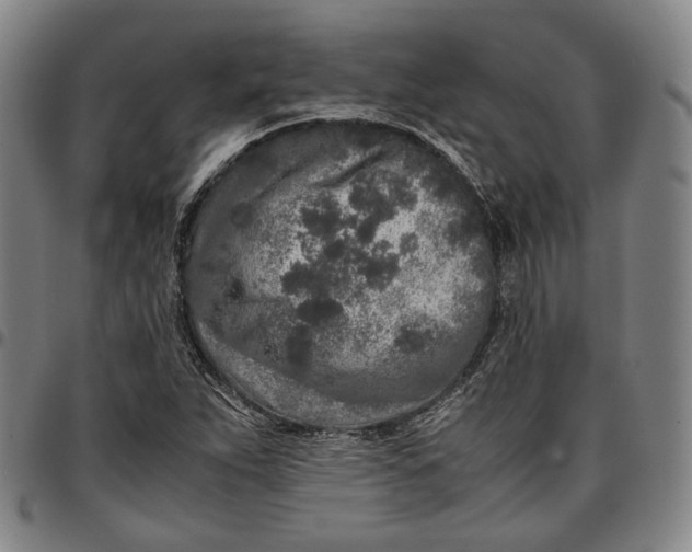 X0000096671263200802191321
