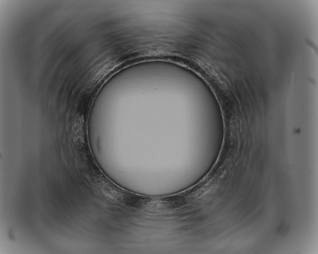 X0000096671265200802191321