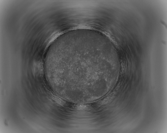 X0000096671266200802191321