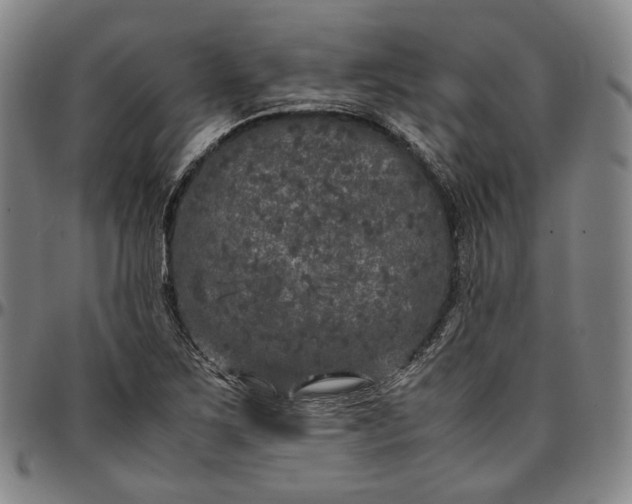X0000096671267200802191321