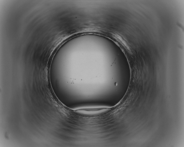X0000096671268200802191321