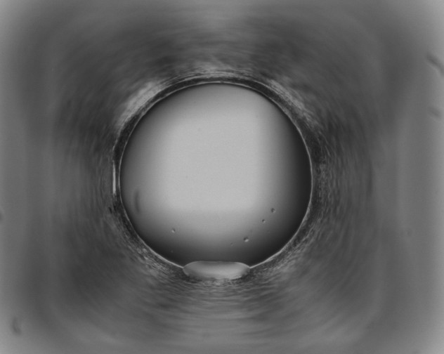X0000096671269200802191321