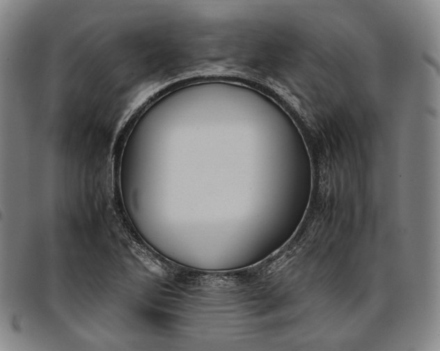 X0000096671270200802191321