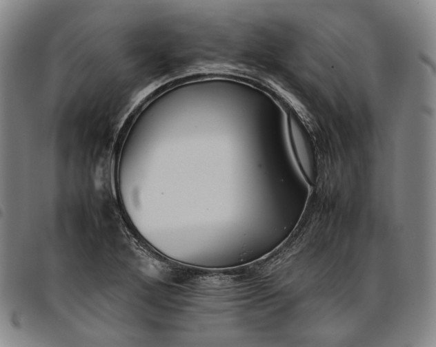 X0000096671272200802191321