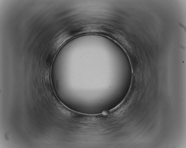 X0000096671273200802191321