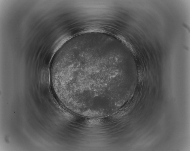 X0000096671274200802191321