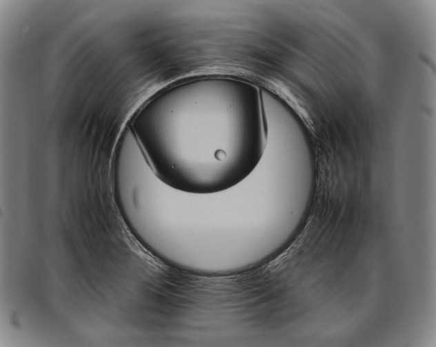 X0000096671276200802191321