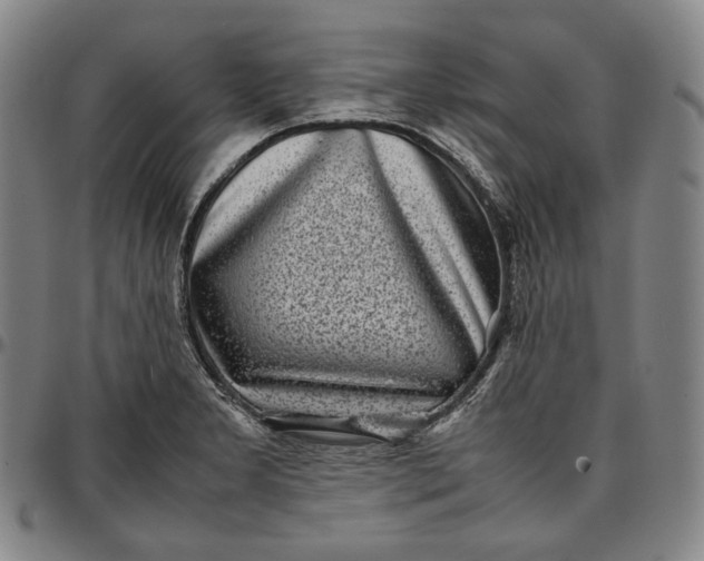 X0000096671277200802191321