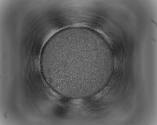 X0000096671278200802191321