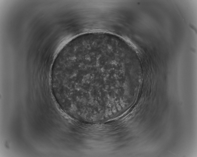 X0000096671279200802191321