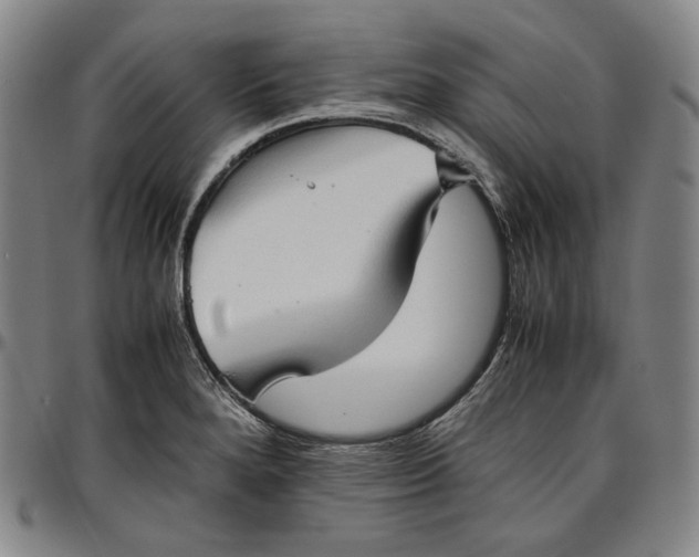 X0000096671280200802191321
