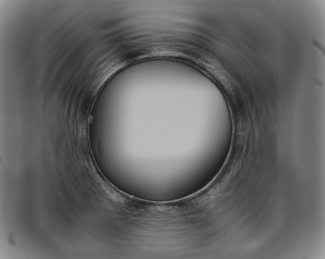 X0000096671281200802191321