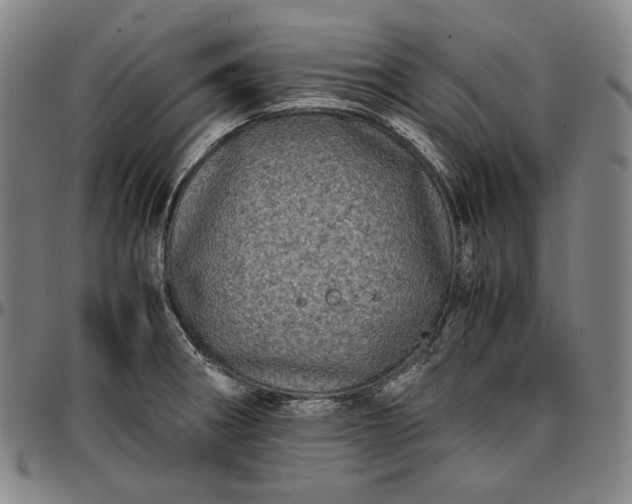 X0000096671282200802191321