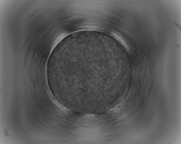 X0000096671283200802191321