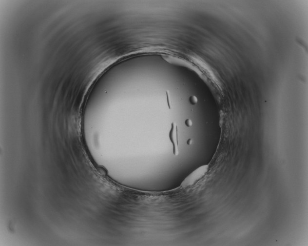 X0000096671284200802191321