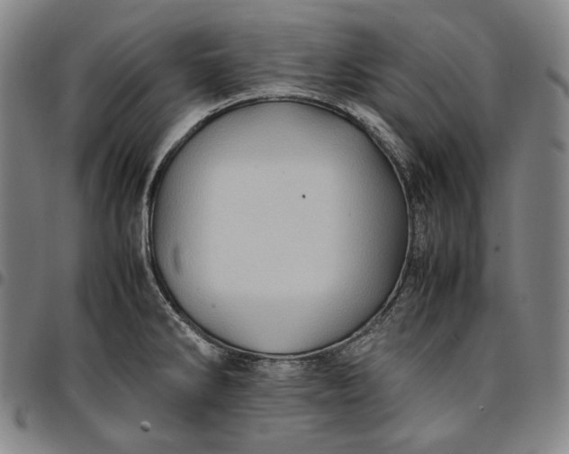 X0000096671286200802191321