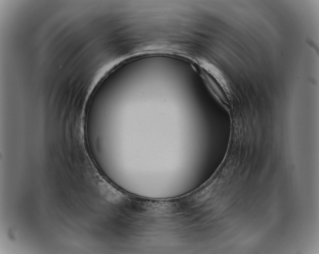 X0000096671288200802191321