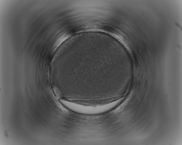 X0000096671289200802191321