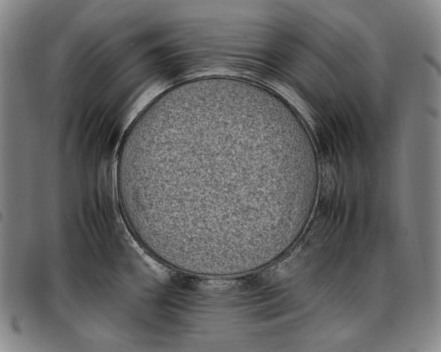 X0000096671290200802191321