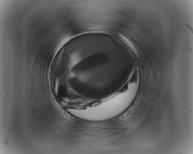 X0000096671291200802191321