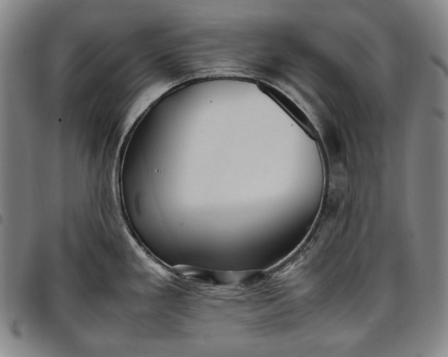 X0000096671293200802191321