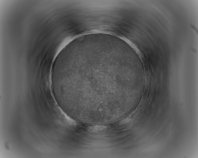 X0000096671294200802191321