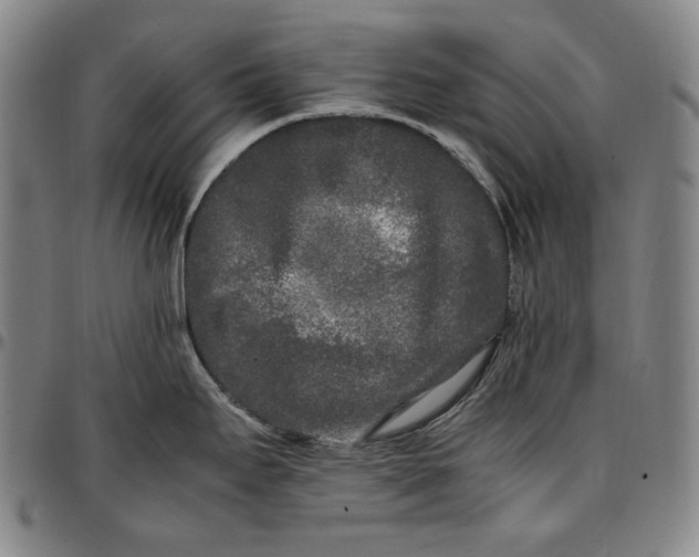 X0000096671295200802191321