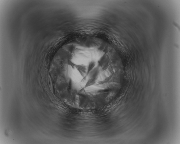X0000096671297200802191320