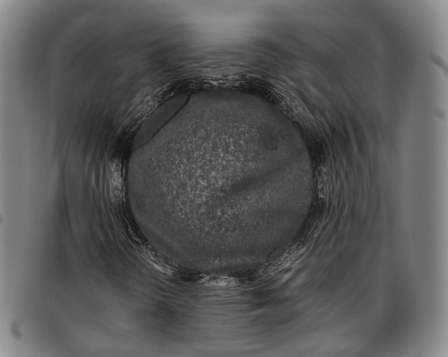 X0000096671298200802191320