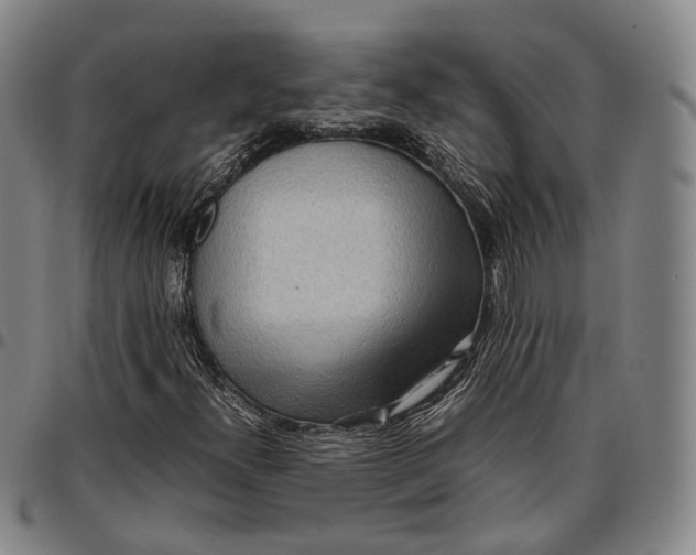X0000096671300200802191320