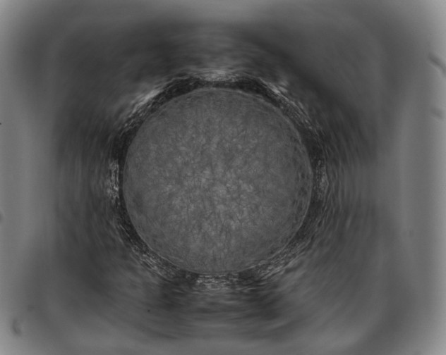 X0000096671301200802191320