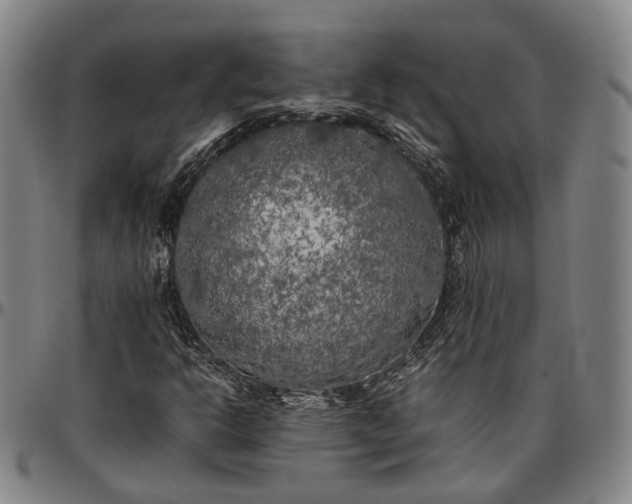 X0000096671302200802191320