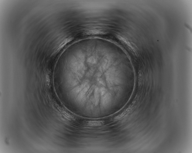 X0000096671305200802191320