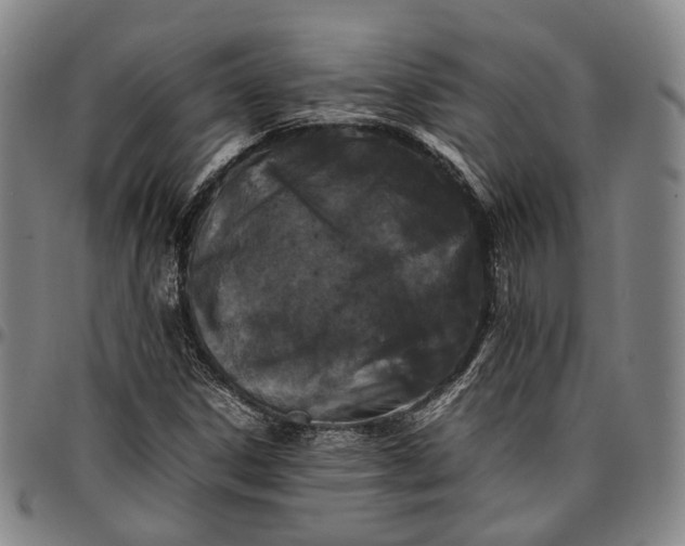 X0000096671306200802191320