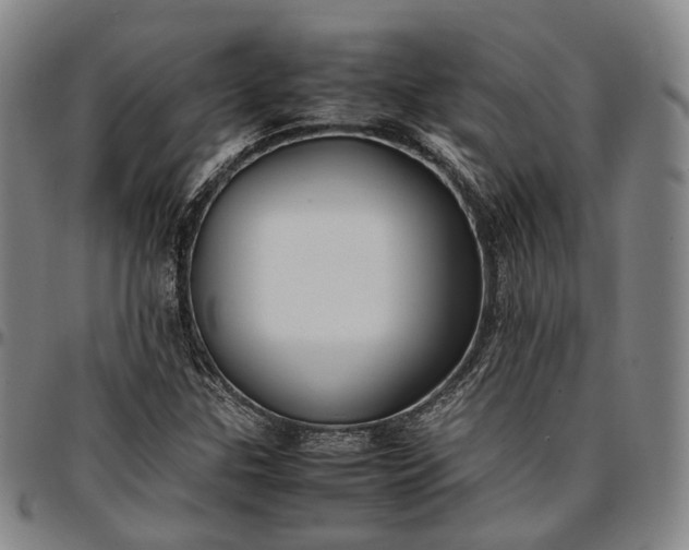 X0000096671307200802191320
