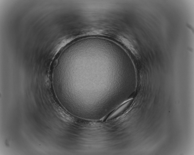 X0000096671308200802191320