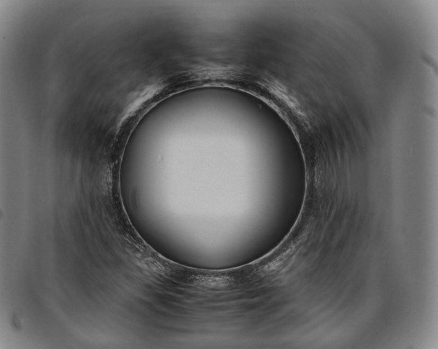 X0000096671309200802191320